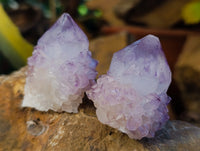Natural Sunburst Cactus Flower Amethyst Spirit Quartz Clusters x 20 From South Africa