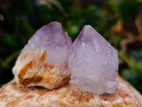 Natural Sunburst Cactus Flower Amethyst Spirit Quartz Clusters x 20 From South Africa