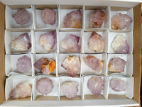 Natural Sunburst Cactus Flower Amethyst Spirit Quartz Clusters x 20 From South Africa