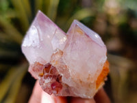 Natural Sunburst Cactus Flower Amethyst Spirit Quartz Clusters x 20 From South Africa