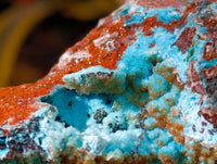 Natural Drusy Coated Chrysocolla with Malachite Specimens x 2 From Congo
