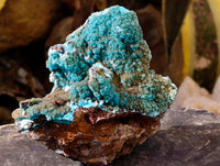 Natural Drusy Coated Chrysocolla with Malachite Specimens x 2 From Congo