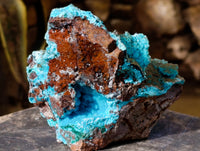 Natural Drusy Coated Chrysocolla with Malachite Specimens x 2 From Congo