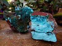 Natural Drusy Coated Chrysocolla with Malachite Specimens x 2 From Congo