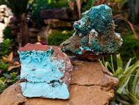 Natural Drusy Coated Chrysocolla with Malachite Specimens x 2 From Congo