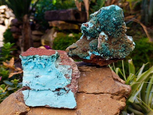 Natural Drusy Coated Chrysocolla with Malachite Specimens x 2 From Congo