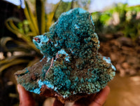 Natural Drusy Coated Chrysocolla with Malachite Specimens x 2 From Congo