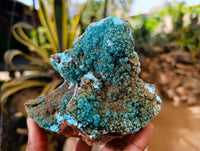 Natural Drusy Coated Chrysocolla with Malachite Specimens x 2 From Congo