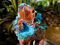 Natural Drusy Coated Chrysocolla with Malachite Specimens x 2 From Congo