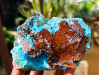 Natural Drusy Coated Chrysocolla with Malachite Specimens x 2 From Congo