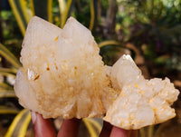 Natural Cascading Candle and Pineapple Quartz Clusters x 7 From Madagascar