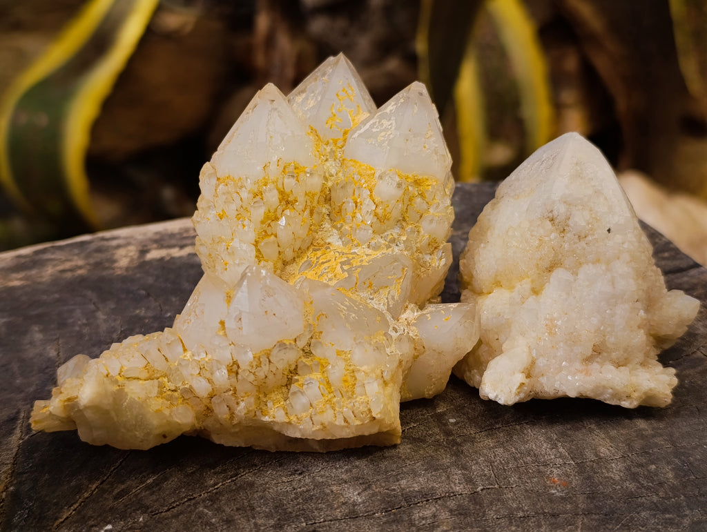 Natural Cascading Candle and Pineapple Quartz Clusters x 7 From Madagascar - Toprock Gemstones and Minerals 