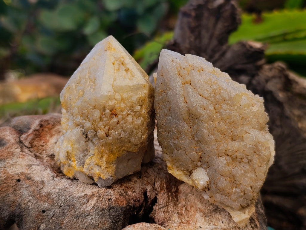 Natural Cascading Candle and Pineapple Quartz Clusters x 7 From Madagascar - Toprock Gemstones and Minerals 