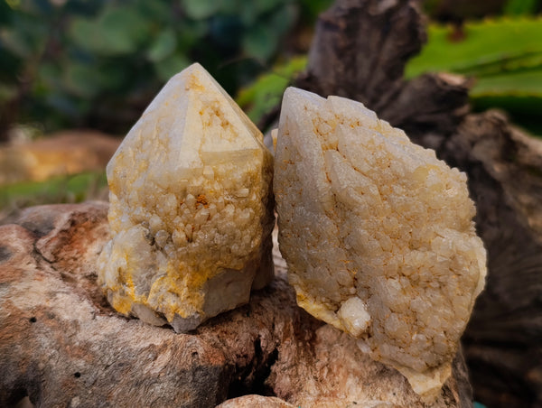 Natural Cascading Candle and Pineapple Quartz Clusters x 7 From Madagascar