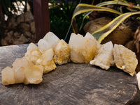 Natural Cascading Candle and Pineapple Quartz Clusters x 7 From Madagascar