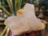 Natural Cascading Candle and Pineapple Quartz Clusters x 7 From Madagascar
