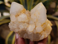 Natural Cascading Candle and Pineapple Quartz Clusters x 7 From Madagascar