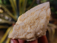 Natural Cascading Candle and Pineapple Quartz Clusters x 7 From Madagascar
