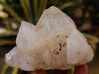 Natural Cascading Candle and Pineapple Quartz Clusters x 7 From Madagascar - Toprock Gemstones and Minerals 