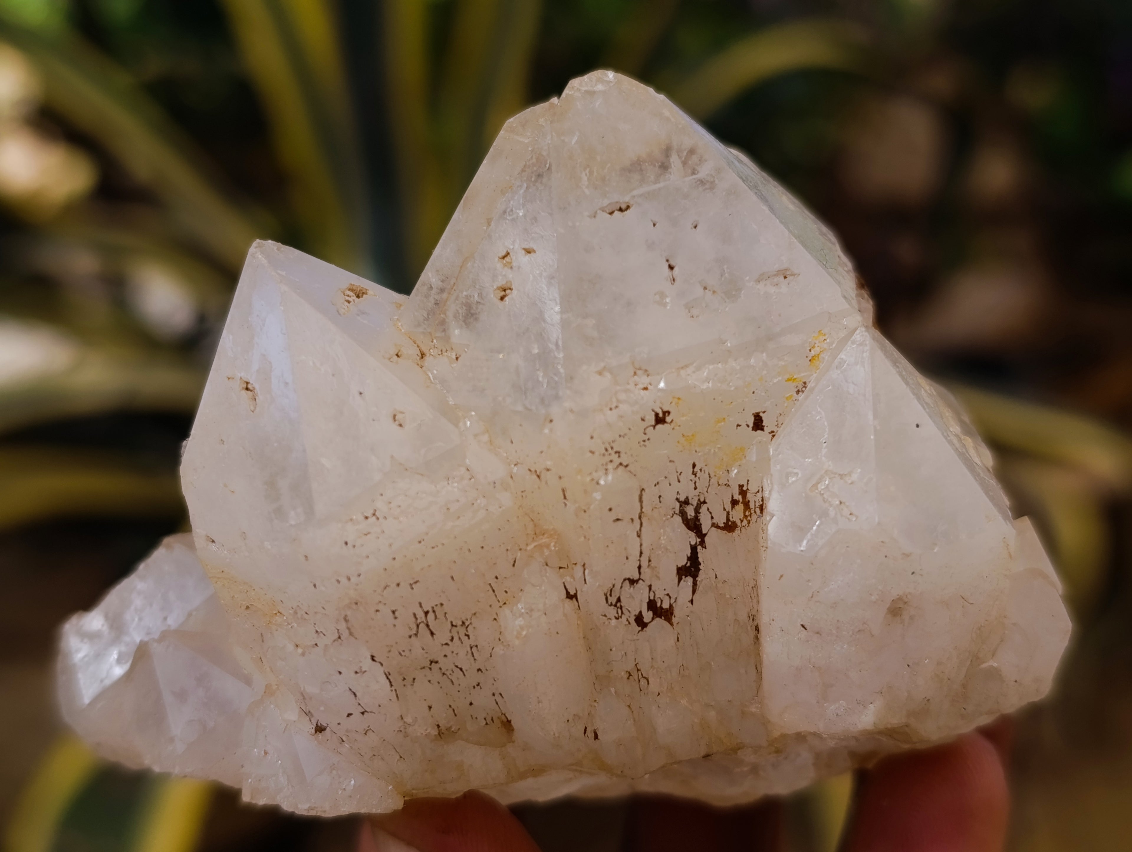 Natural Cascading Candle and Pineapple Quartz Clusters x 7 From Madagascar - Toprock Gemstones and Minerals 