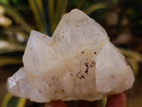 Natural Cascading Candle and Pineapple Quartz Clusters x 7 From Madagascar