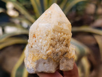 Natural Cascading Candle and Pineapple Quartz Clusters x 7 From Madagascar
