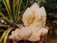 Natural Cascading Candle and Pineapple Quartz Clusters x 7 From Madagascar