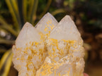 Natural Cascading Candle and Pineapple Quartz Clusters x 7 From Madagascar - Toprock Gemstones and Minerals 