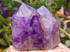 Polished Window Amethyst Quartz Crystals x 3 From Akansobe, Madagascar - Toprock Gemstones and Minerals 