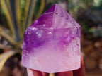 Polished Window Amethyst Quartz Crystals x 3 From Akansobe, Madagascar - Toprock Gemstones and Minerals 