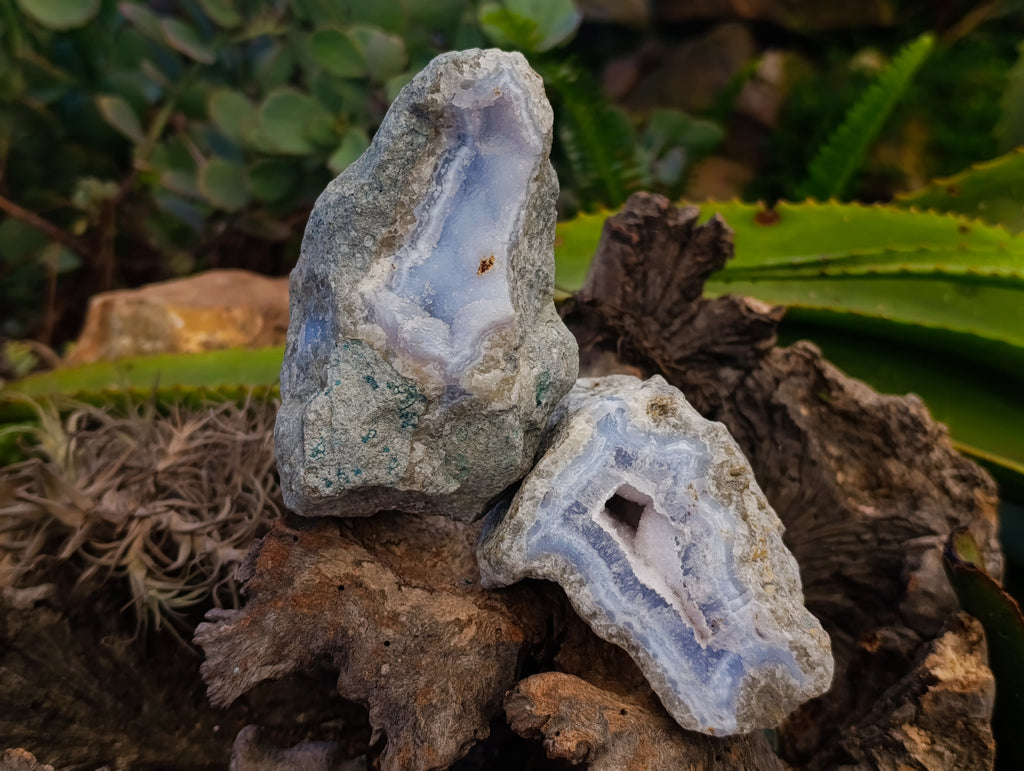 Natural Blue Lace Agate Geodes x 6 From Nsanje, Malawi - Toprock Gemstones and Minerals 