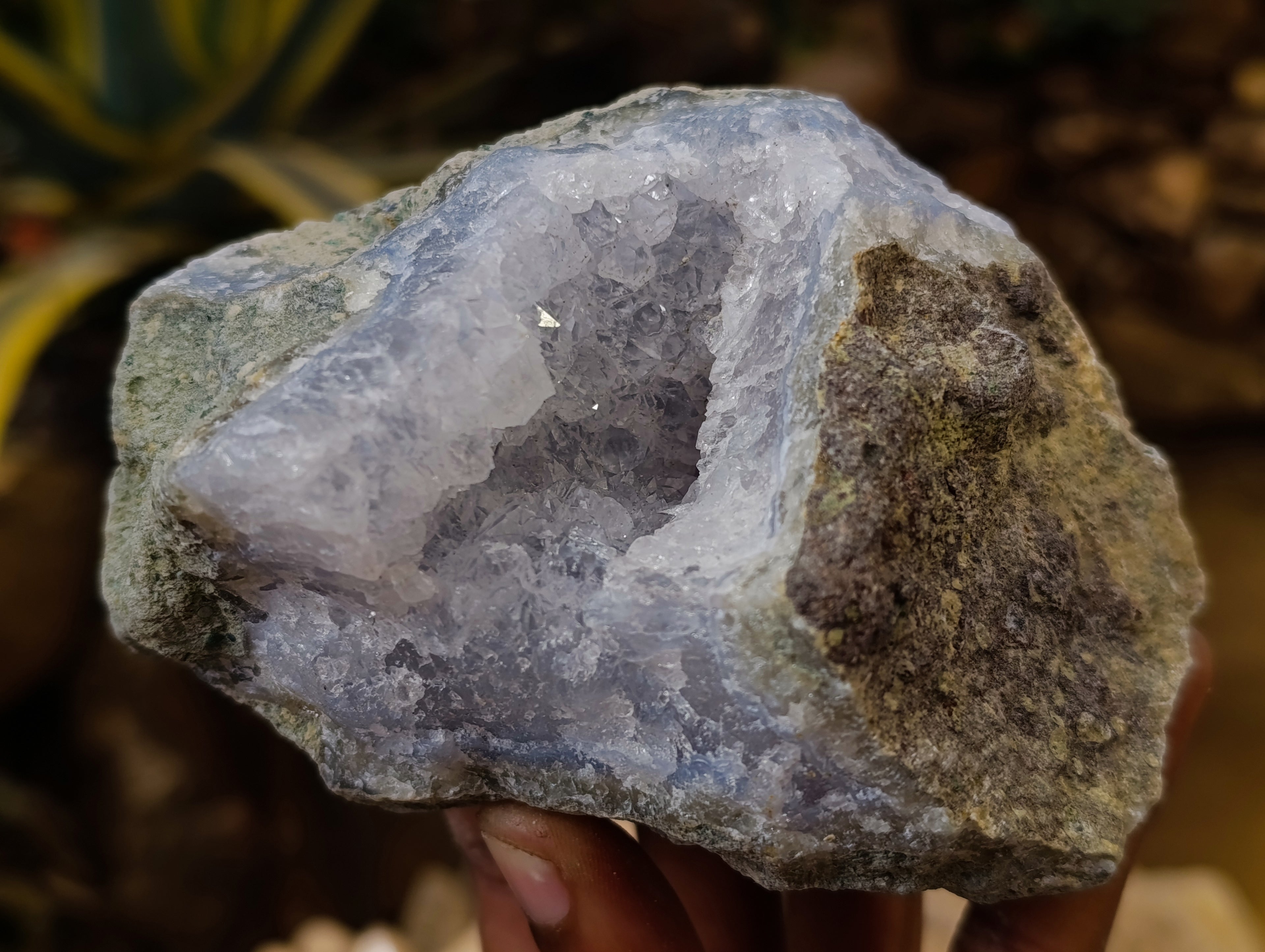 Natural Blue Lace Agate Geodes x 6 From Nsanje, Malawi - Toprock Gemstones and Minerals 