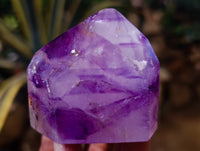 Polished Window Amethyst Quartz Crystals x 3 From Akansobe, Madagascar