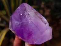 Polished Window Amethyst Quartz Crystals x 3 From Akansobe, Madagascar