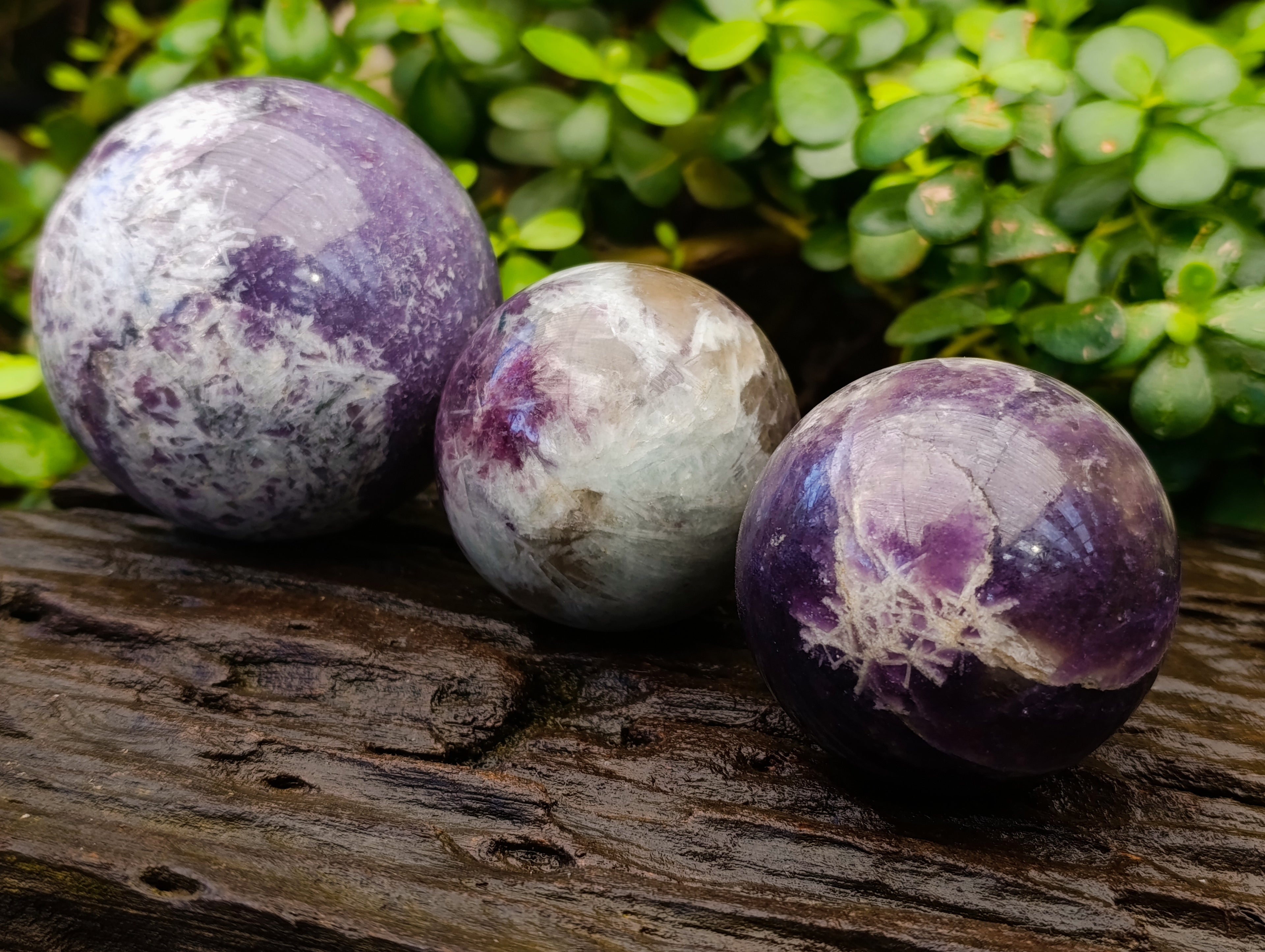 Polished Lepidolite Spheres x 3 From Vakinankaratra, Madagascar - Toprock Gemstones and Minerals 