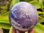 Polished Lepidolite Spheres x 3 From Vakinankaratra, Madagascar - Toprock Gemstones and Minerals 