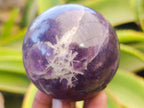 Polished Lepidolite Spheres x 3 From Vakinankaratra, Madagascar - Toprock Gemstones and Minerals 