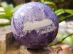 Polished Lepidolite Spheres x 3 From Vakinankaratra, Madagascar - Toprock Gemstones and Minerals 