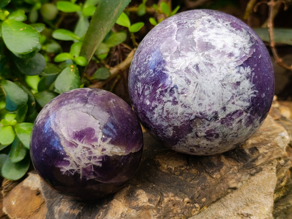 Polished Lepidolite Spheres x 3 From Vakinankaratra, Madagascar - Toprock Gemstones and Minerals 