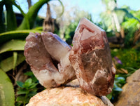 Natural Red Hematoid Quartz Clusters x 3 From Karoi, Zimbabwe