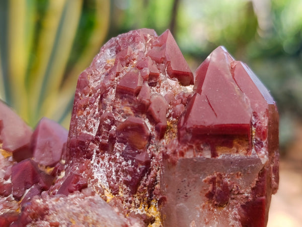 Natural Red Hematoid Quartz Clusters x 3 From Karoi, Zimbabwe