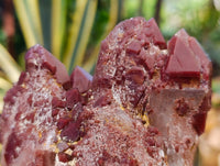Natural Red Hematoid Quartz Clusters x 3 From Karoi, Zimbabwe