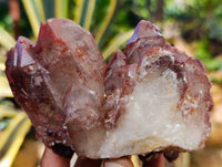 Natural Red Hematoid Quartz Clusters x 3 From Karoi, Zimbabwe