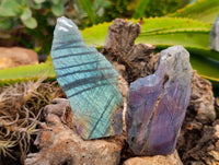 Polished On One Side Labradorite Plates x 6 From Tulear, Madagascar