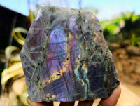Polished On One Side Labradorite Plates x 6 From Tulear, Madagascar