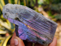Polished On One Side Labradorite Plates x 6 From Tulear, Madagascar