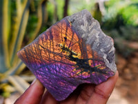 Polished On One Side Labradorite Plates x 6 From Tulear, Madagascar