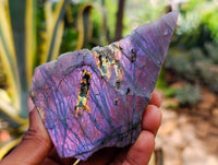 Polished On One Side Labradorite Plates x 6 From Tulear, Madagascar
