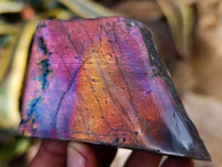 Polished On One Side Labradorite Plates x 6 From Tulear, Madagascar
