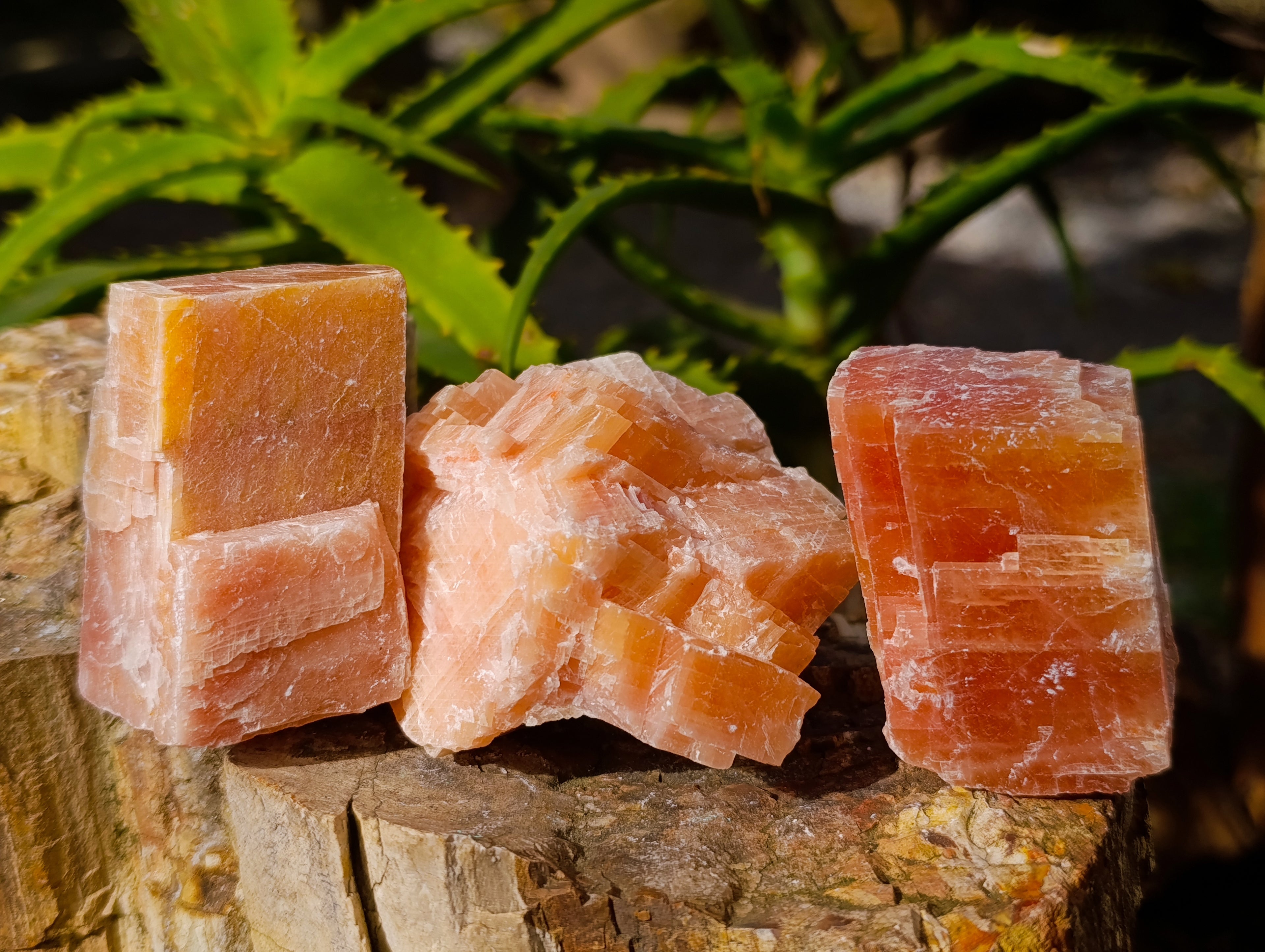 Natural Rhombohedral Sunset Orange Calcite Specimens x 24 From Spitzkop, Namibia - Toprock Gemstones and Minerals 